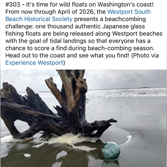 - #7 Follow Game 🐾🐶 - Picture 7 of 16